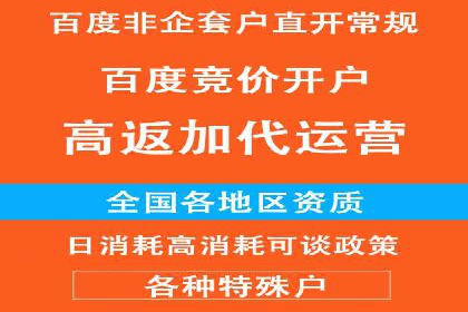 百度竞价包年策略：成功案例解析与经验分享